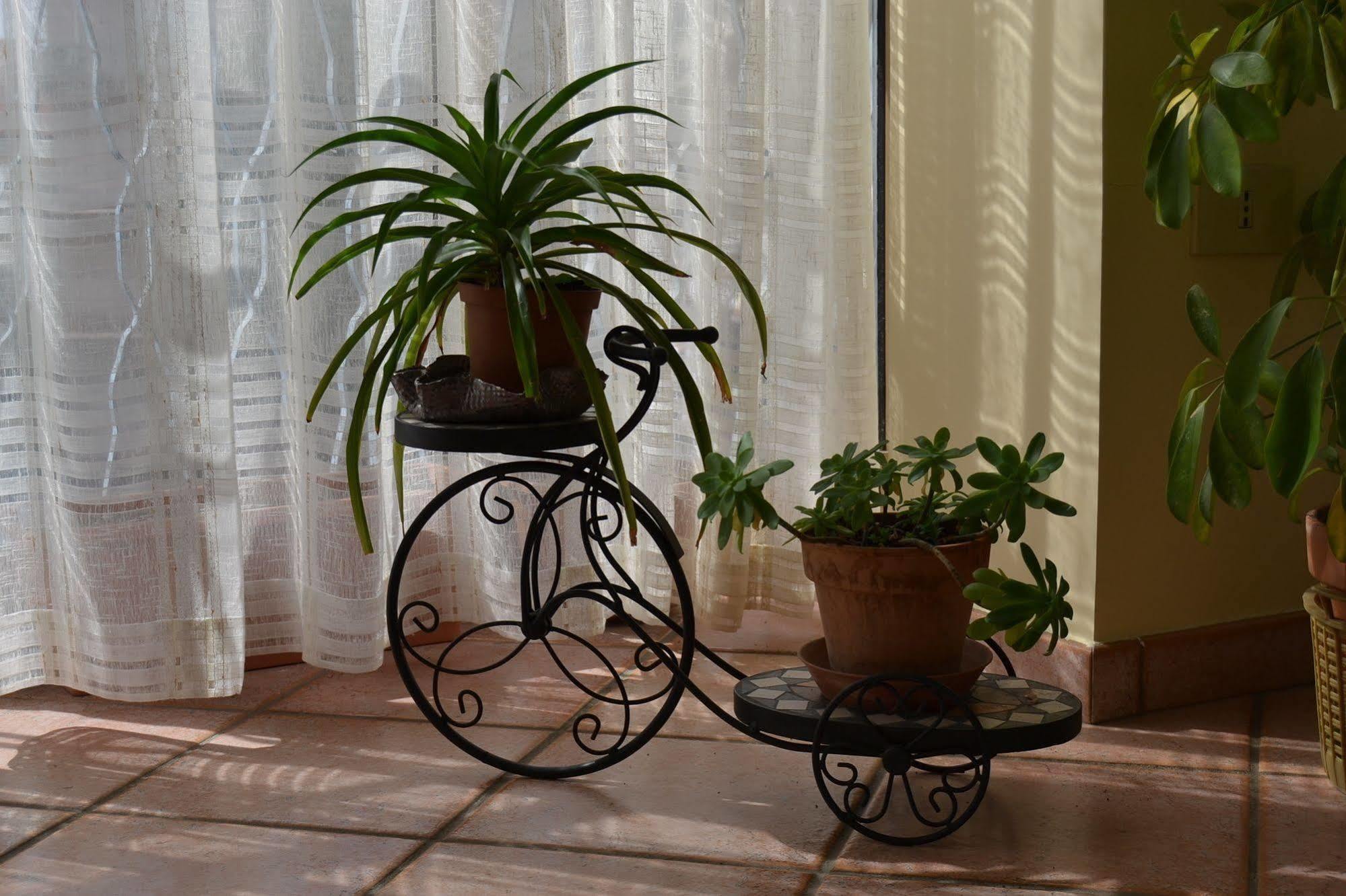Bed & Breakfast Marena Sant'Agata Li Battiati ภายนอก รูปภาพ